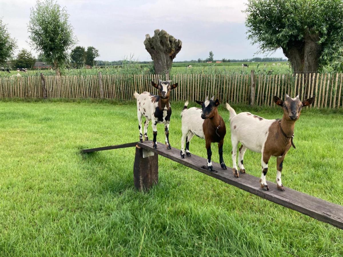 De Burkelhoeve App.A Maldegem Dış mekan fotoğraf